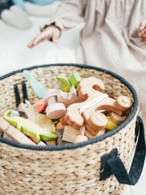 Toys and Learning