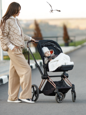 Baby Gear