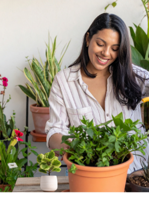 Home & Garden